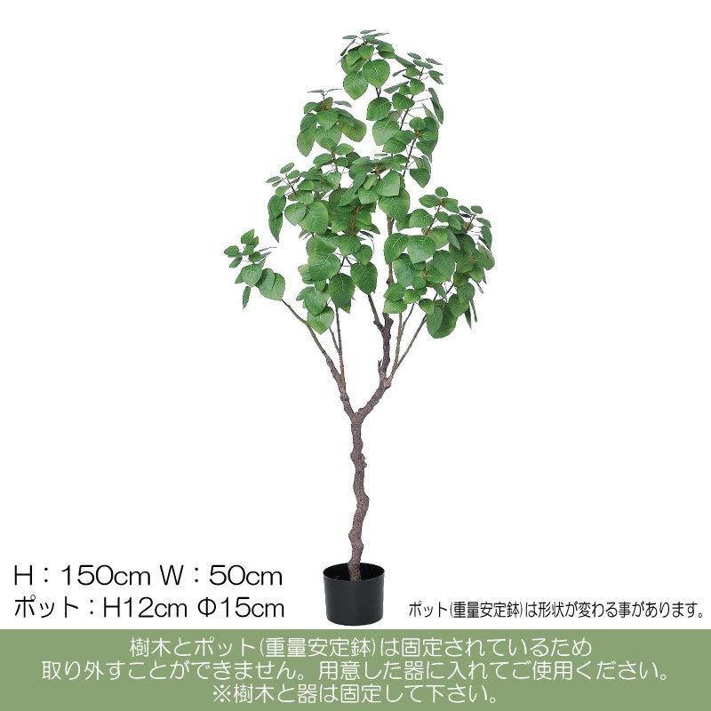限定価格セール! 《 フェイクグリーン 観葉植物 》 とりよせ品 Asca アスカ ジャイアントツリー ポット付 200cm《代引不可 他商品との同梱不可》 グリーン観葉植物 2.0m 大型 おしゃれ 安い 《 フェイクグリーン 観葉植物 》◆とりよせ品◆Asca(アスカ) オリーブ(ポット付)156cm《代引不可・他商品との同梱不可》 ナチュラル