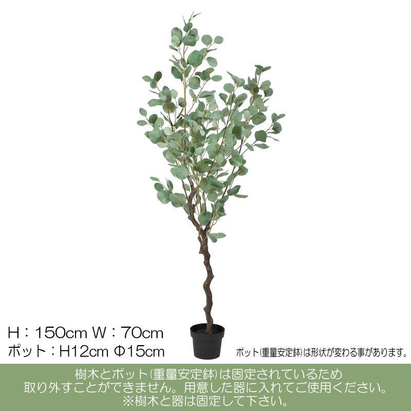 New限定品 アスカ Asca 大型観葉 人工樹木 商業施設 空間 ユーカリ ポット付 グレイグリ ン As254 A 063g 造花ディスプレイ ドットコム 通販 Yahoo ショッピング 売り切れ必至 Mobile Scotturb Com