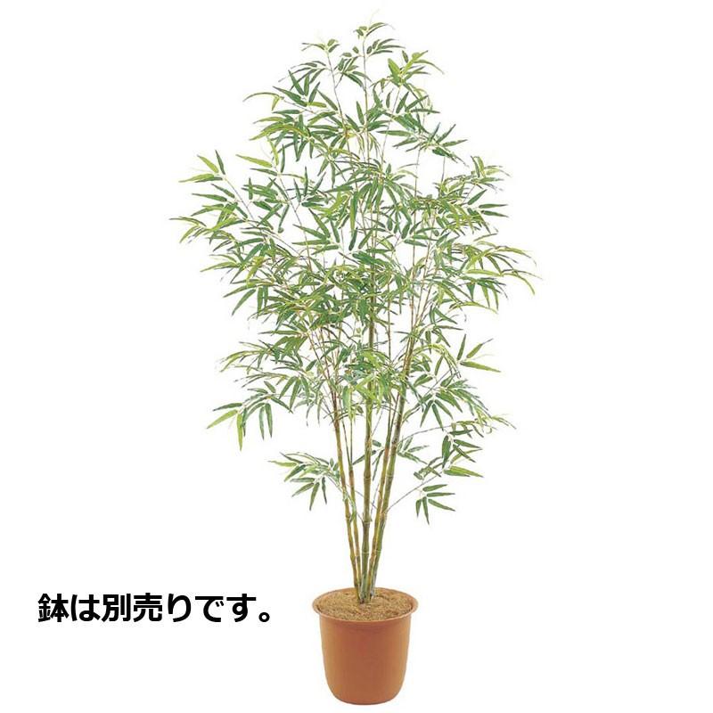 初回限定 竹 七夕 笹 造花 フェイクグリーン 人工観葉植物 バンブーツリー M 210cm Ab114 Bt 0110 M 造花ディスプレイ ドットコム 通販 Yahoo ショッピング 最も優遇 Www Maxipiso Com Ar