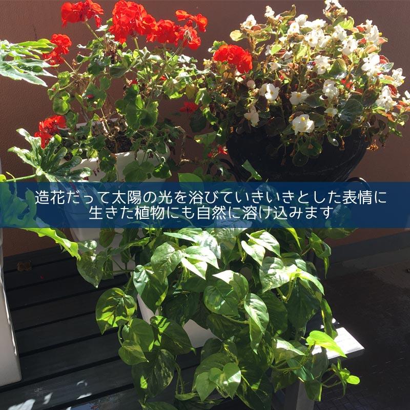 屋外 寄せ植え フェイクグリーン 造花 おしゃれ チェンジプランツ フレッシュポトスハンギングセット Cps002 造花ディスプレイ ドットコム 通販 Yahoo ショッピング