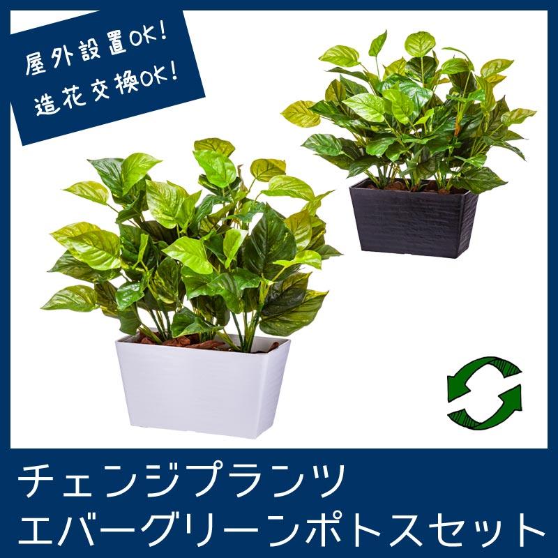 屋外 寄せ植え フェイクグリーン 造花 おしゃれ チェンジプランツ エバーグリーンポトスセット | 