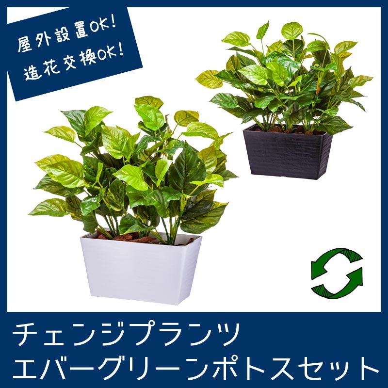 屋外 寄せ植え フェイクグリーン 造花 おしゃれ チェンジプランツ エバーグリーンポトスセット Cps003 造花ディスプレイ ドットコム 通販 Yahoo ショッピング