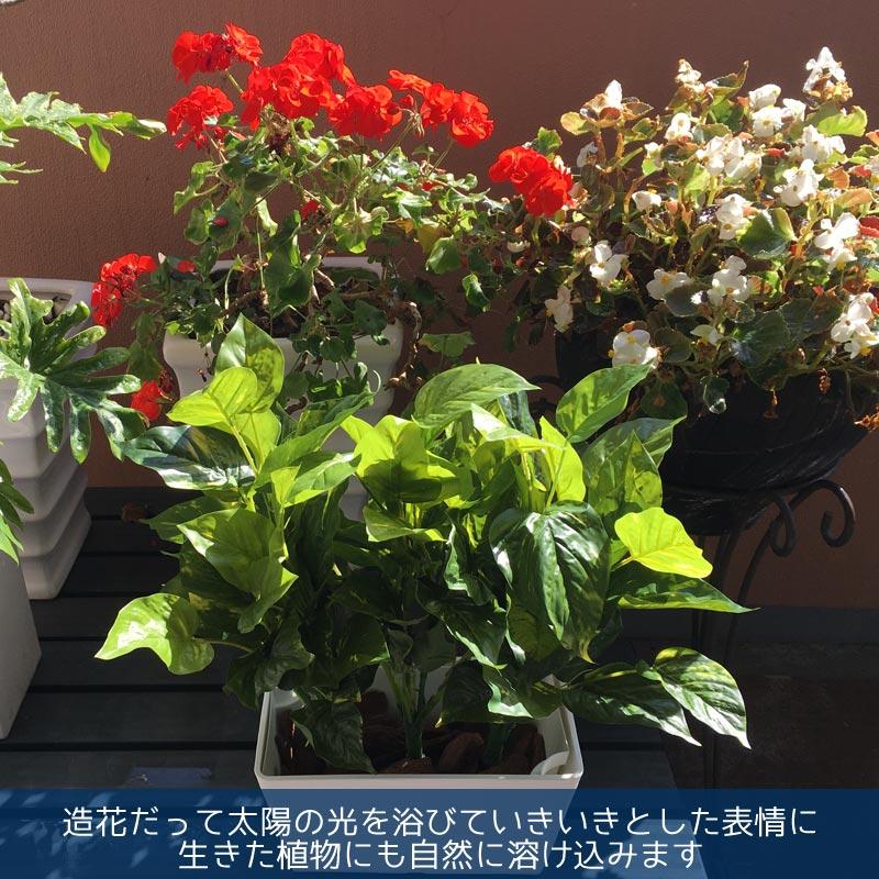 屋外 寄せ植え フェイクグリーン 造花 おしゃれ チェンジプランツ エバーグリーンポトスセット |  | 07