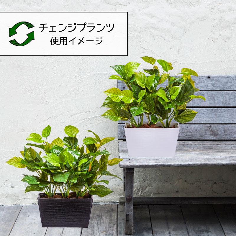 屋外 寄せ植え フェイクグリーン 造花 おしゃれ チェンジプランツ エバーグリーンポトスセット |  | 03