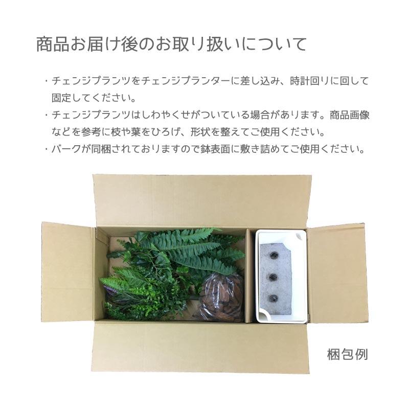 屋外 寄せ植え フェイクグリーン 造花 おしゃれ チェンジプランツ デイジーソニアミックスセット |  | 06