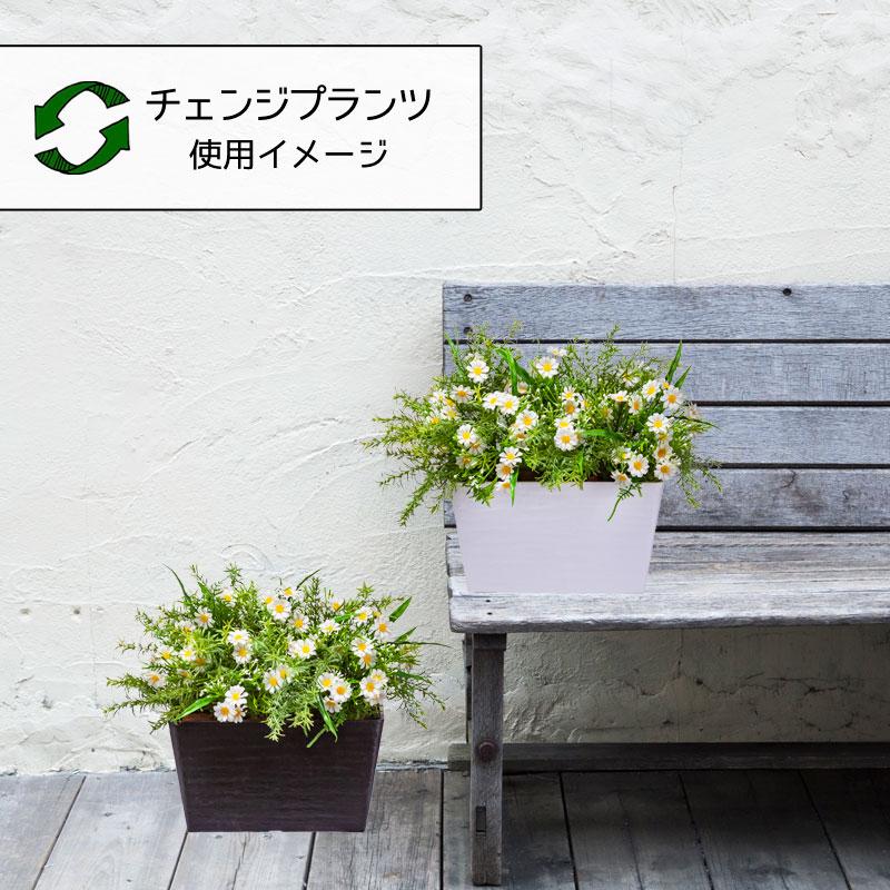 屋外 寄せ植え フェイクグリーン 造花 おしゃれ チェンジプランツ デイジーソニアミックスセット |  | 03