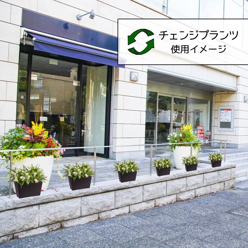 屋外 寄せ植え フェイクグリーン 造花 おしゃれ チェンジプランツ デイジーソニアミックスセット |  | 09