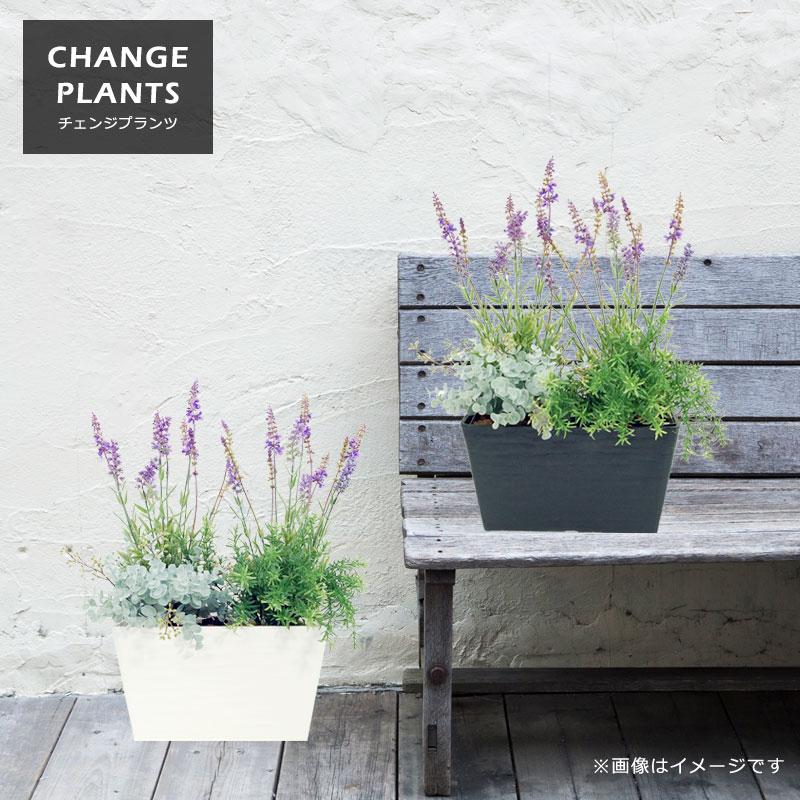 屋外 寄せ植え フェイクグリーン 造花 チェンジプランツ ラベンダー＆ソニアセット |  | 05