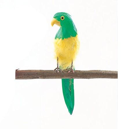 夏 サマーディスプレイ トロピカル 鳥 オウム S グリーン Gl15 Dl 0101 S Gr 造花ディスプレイ ドットコム 通販 Yahoo ショッピング