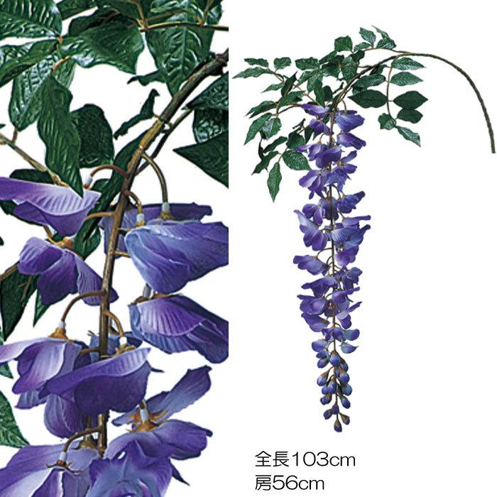 藤大房 12本セット(VI60.27) | 