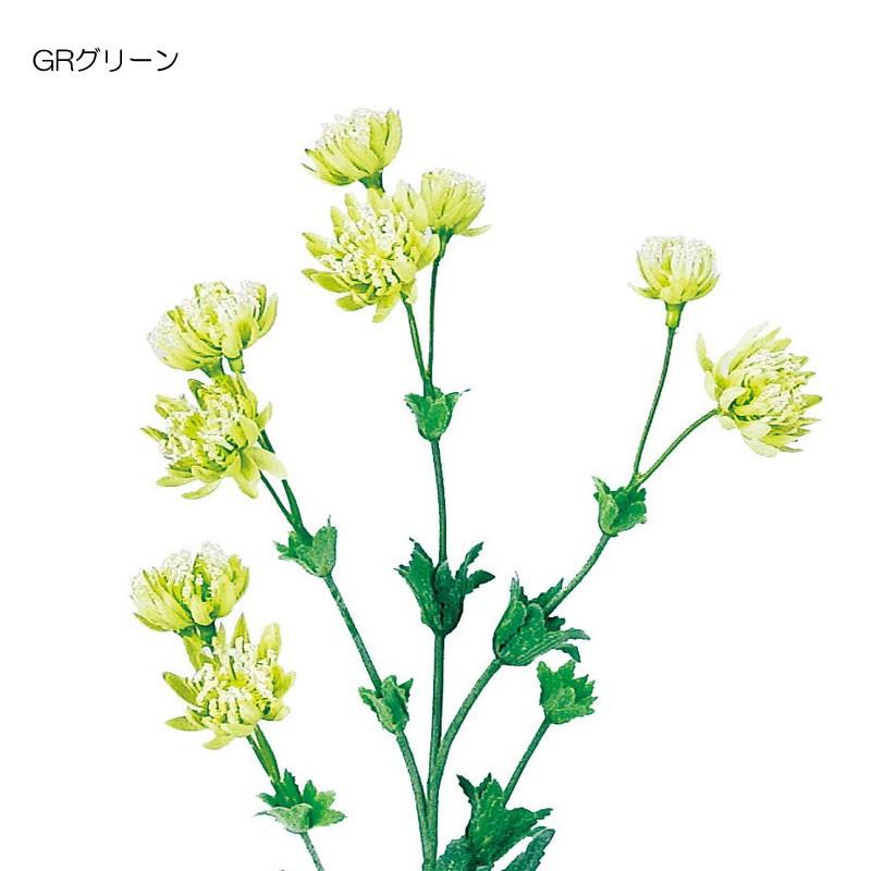 造花 アートフラワー アストランティア(DMFG2023/71) | ポピー | 01