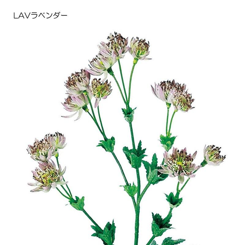造花 アートフラワー アストランティア(DMFG2023/71) | ポピー | 02