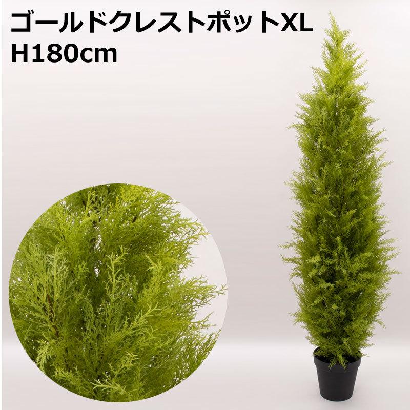 H180cmゴールドクレストポット Xl 人工観葉フェイクグリーン鉢付 Vi59 70 Fd3166 024 1 造花ディスプレイ ドットコム 通販 Yahoo ショッピング