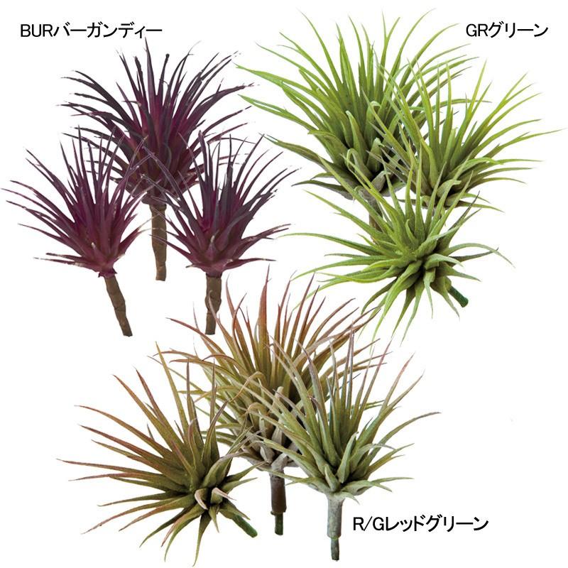 人工観葉植物 フェイクグリーン 造花 多肉植物 エアプランツ ミニチランジアピック3コイリ Mdy152 Fg 4585 造花ディスプレイ ドットコム 通販 Yahoo ショッピング
