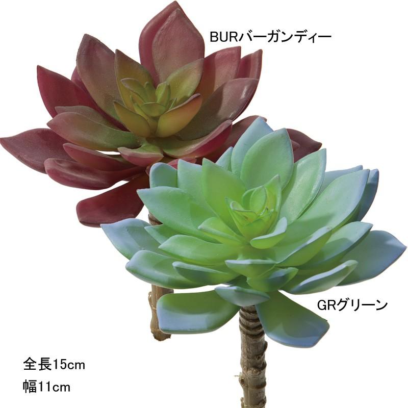 人工観葉植物 フェイクグリーン 造花 多肉植物 エケベリアピックm Mdy150 Gtm360 Com