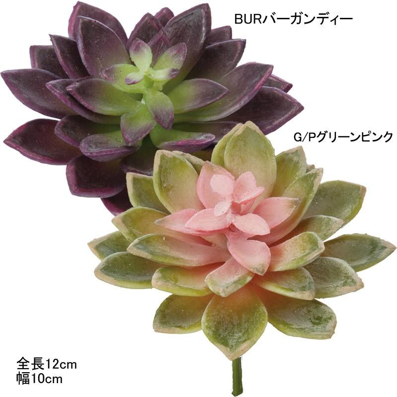 造花 フェイクグリーン 人工観葉植物 多肉植物 エケベリアピック Mdy150 Br Productions Nl