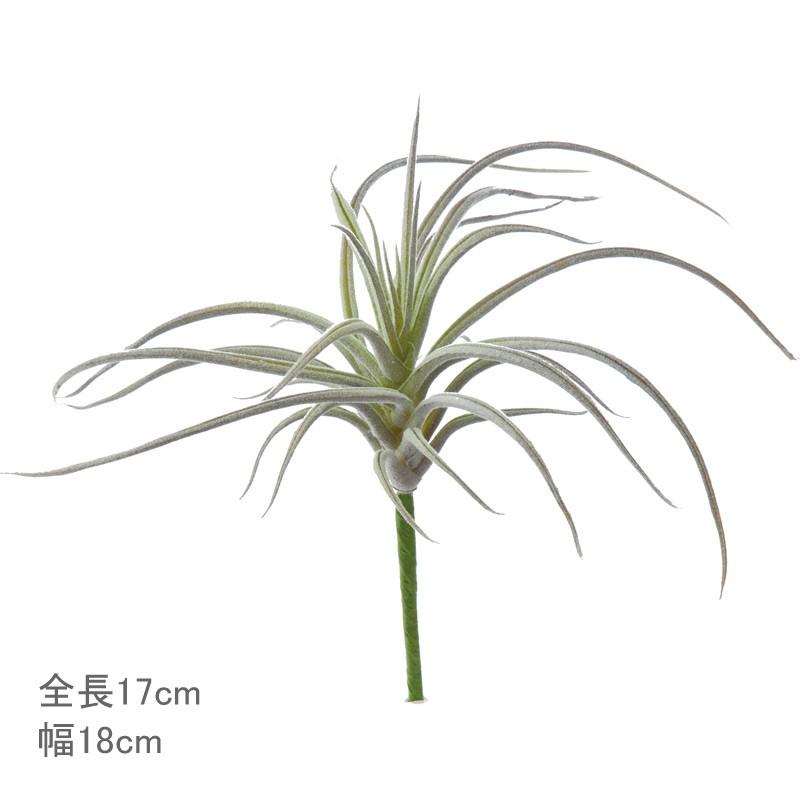 造花 フェイクグリーン 人工観葉植物 エアプランツ スパイダーチランジア ホワイトグリーン Dmfg22 168 Fg 4855 Wg 造花ディスプレイ ドットコム 通販 Yahoo ショッピング