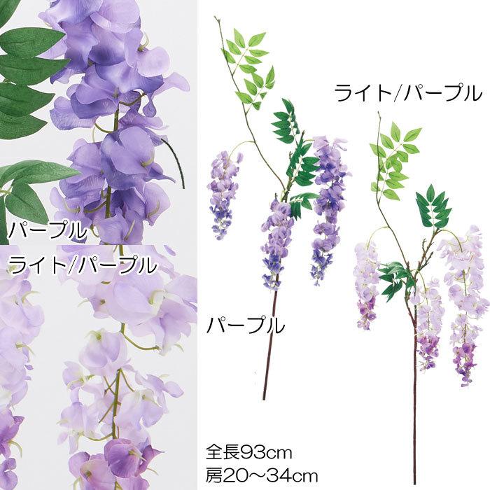 藤  12本セット(VI60.27) | 