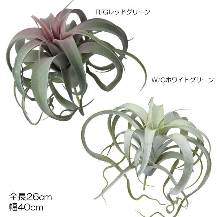 造花 フェイクグリーン 人工観葉植物 カーリーチランジア(DMFG2023/169) | ポピー