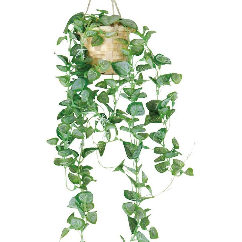 造花 フェイクグリーン 人工観葉植物 ベビーハートリーフハンギング Mdy192 Gla 1104 造花ディスプレイ ドットコム 通販 Yahoo ショッピング