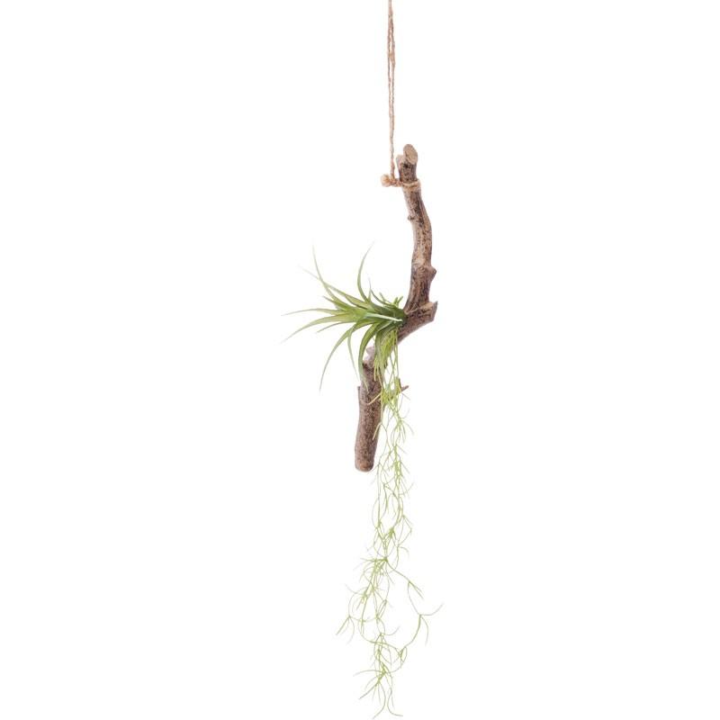 造花 フェイクグリーン 人工観葉植物) チランジアブランチアレンジ　グリーン(DMFG2023/225) | ポピー