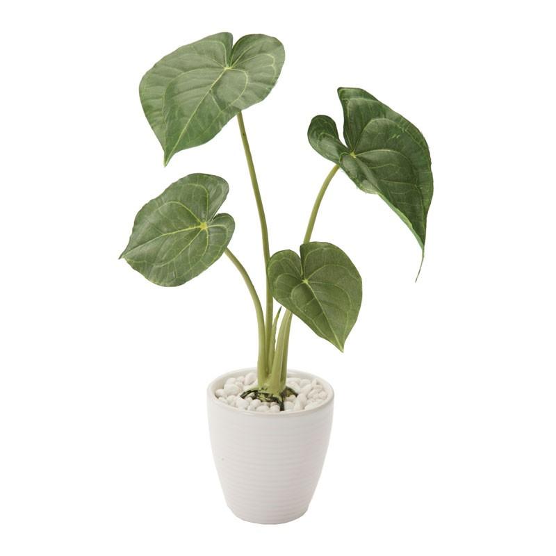 造花 フェイクグリーン 人工観葉植物 アロカシアラインポット グリーン Dmpo2 Gla 1307 Gr 造花ディスプレイ ドットコム 通販 Yahoo ショッピング