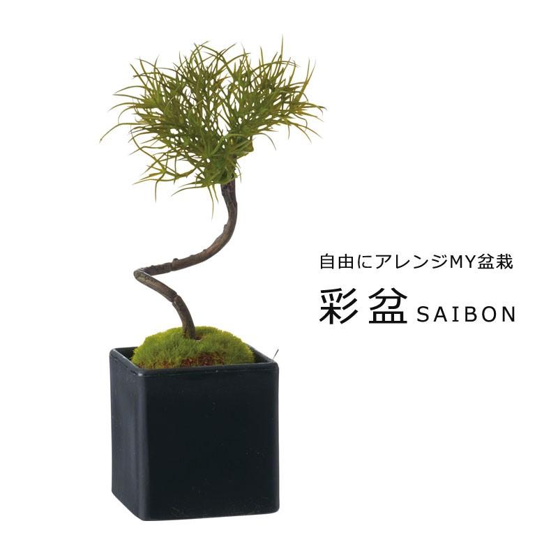 造花 フェイクグリーン 人工観葉植物 松盆栽 グリーン Dmpo214 Gla 1352 Gr 造花ディスプレイ ドットコム 通販 Yahoo ショッピング