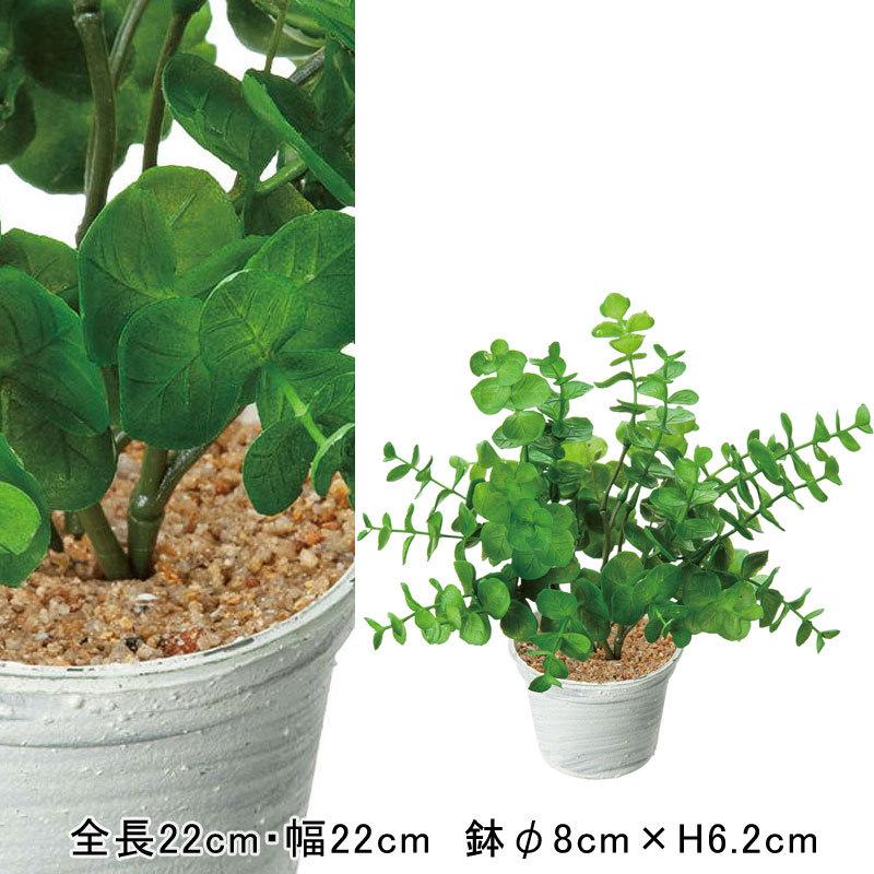 人工観葉植物 インテリア カフェ 飲食店 造花 ユーカリポット グリーン Dmfg22 214 Gla 1493 Gr 造花ディスプレイ ドットコム 通販 Yahoo ショッピング
