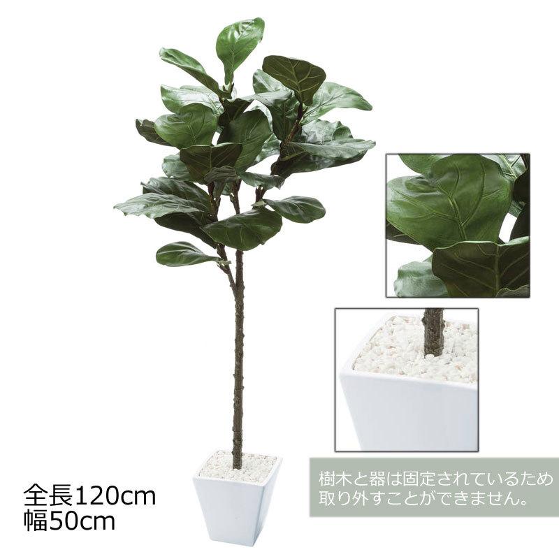 人工樹木 フェイクグリーン 人工観葉植物 室内 インテリア おしゃれ ツリー 店舗装飾 カシワバポット グリーン Mdy211 Gla 1501 Gr 造花ディスプレイ ドットコム 通販 Yahoo ショッピング