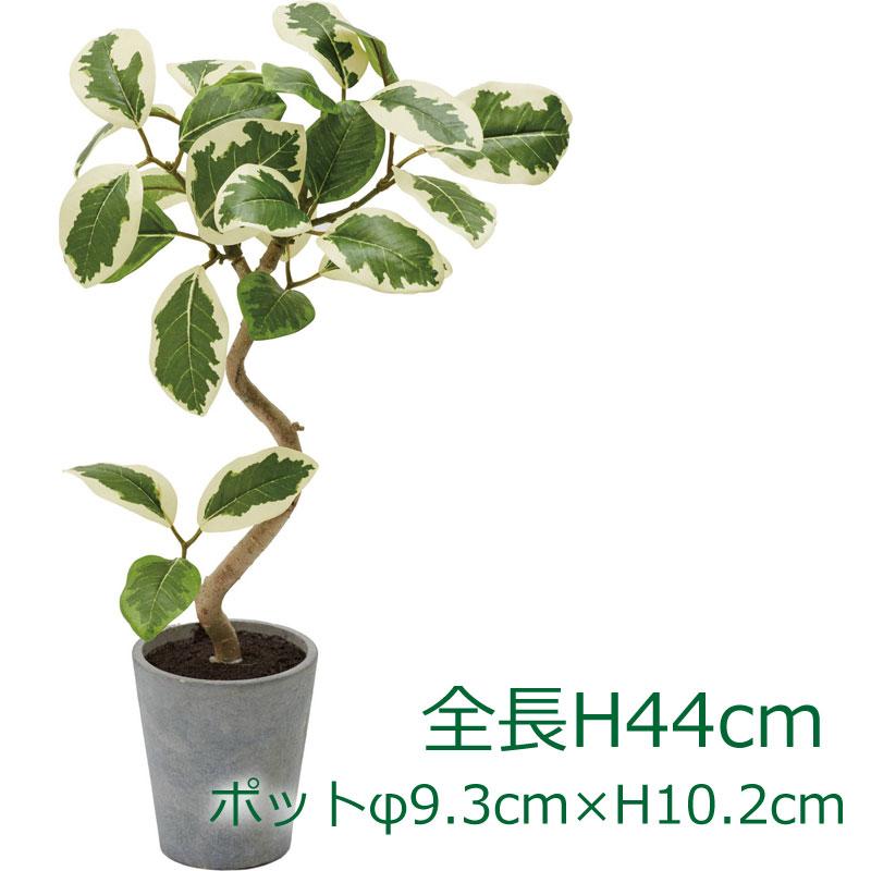 フィカスアルテシマポット ホワイトグリーンh44cm 人工観葉 造花 フェイクグリーン Mdy190 Gla 1524 Wg 造花ディスプレイ ドットコム 通販 Yahoo ショッピング