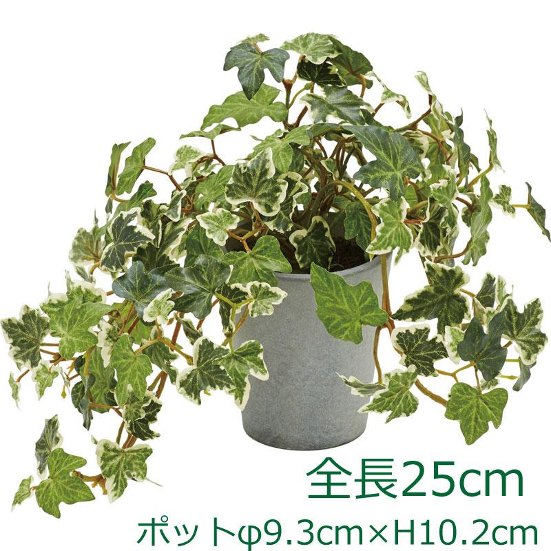 イングリッシュアイビーポット グリーンh25cm 人工観葉 造花 フェイクグリーン Mdy190 Gla 1527 Gr 造花ディスプレイ ドットコム 通販 Yahoo ショッピング