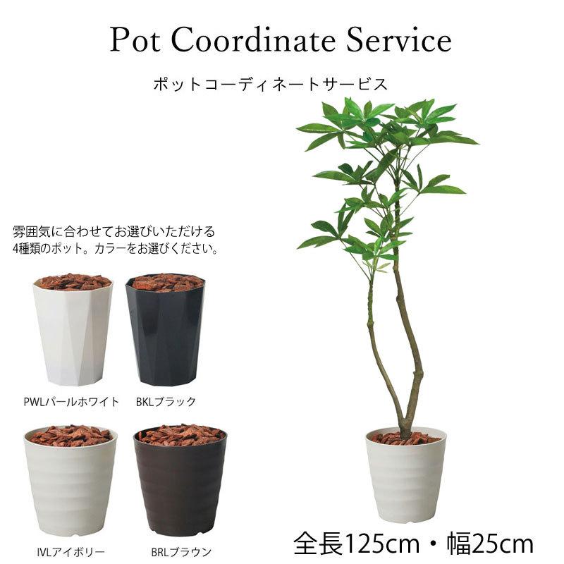 特価のおすすめ 大型 人工樹木 造花 インテリア 鉢付き ディスプレイ 1cmパキラポット Dmfg2 オンラインストア特販 Feliksas Lt
