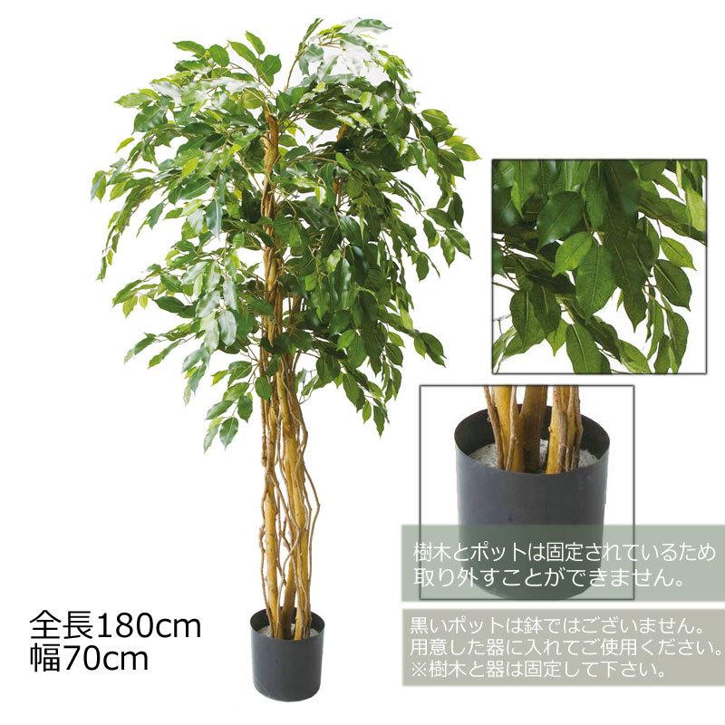 人工樹木 フェイクグリーン 人工観葉植物 室内 店舗装飾 ベンジャミントリプルバイン1 8m Dmfg22 227 Glp 1190 造花ディスプレイ ドットコム 通販 Yahoo ショッピング