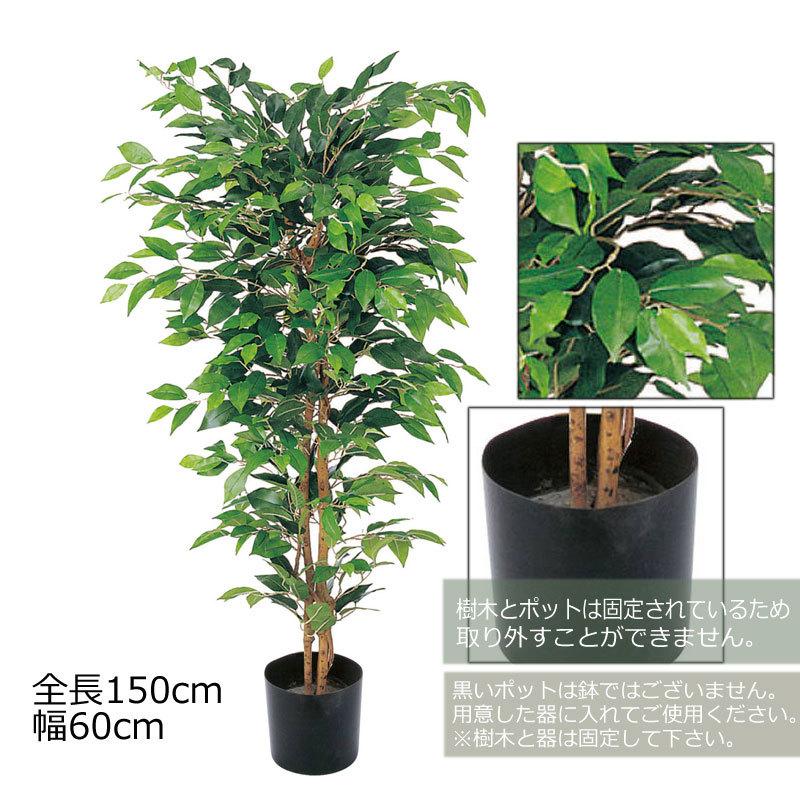 人工樹木 フェイクグリーン 人工観葉植物 室内 インテリア おしゃれ ツリー 店舗装飾 ベンジャミンフィカス1 5m Mdy9 Glp 1300 造花ディスプレイ ドットコム 通販 Yahoo ショッピング