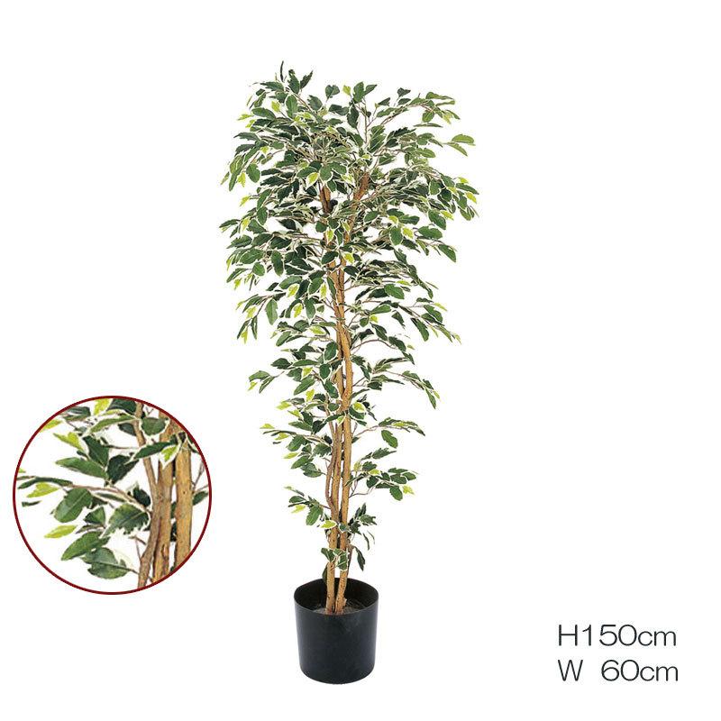 楽天カード分割 人工樹木 フェイクグリーン 人工観葉植物 室内 インテリア おしゃれ ツリー 店舗装飾 ベンジャミンフィカスハワイアン1 5m Mdy9 Glp 13 造花ディスプレイ ドットコム 通販 Yahoo ショッピング 安いそれに目立つ Www Iccostierovico Edu It