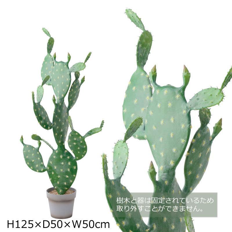 人工樹木 フェイクグリーン 人工観葉植物 室内 インテリア おしゃれ ツリー 店舗装飾 ウチワサボテン Mdy218 Glp 14 造花ディスプレイ ドットコム 通販 Yahoo ショッピング