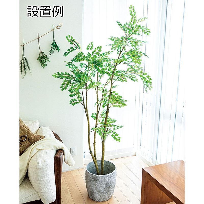 人工樹木 フェイクグリーン 人工観葉植物 室内 インテリア おしゃれ ツリー 店舗装飾 180cmトネリコ グリーン Mdy210 Glp 1497 Gr 造花ディスプレイ ドットコム 通販 Yahoo ショッピング