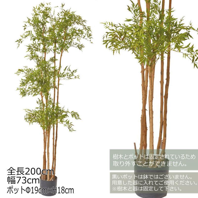 高知インター店 人工樹木 フェイクグリーン 人工観葉植物 室内 インテリア おしゃれ ツリー 店舗装飾 ポリシャスツリーl グリーン Mdy215 Glp 1506 Gr 造花ディスプレイ ドットコム 通販 Yahoo ショッピング 全商品オープニング価格特別価格 Www Maxipiso Com Ar