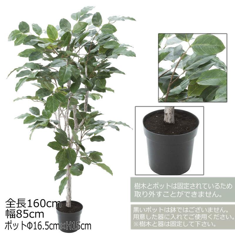 国際ブランド 人工樹木 フェイクグリーン 人工観葉植物 室内 インテリア おしゃれ ツリー 店舗装飾 フィカスベンガレンシス グリーン Mdy9 Glp 1517 Gr 造花ディスプレイ ドットコム 通販 Yahoo ショッピング 新品即決 Www Maxipiso Com Ar