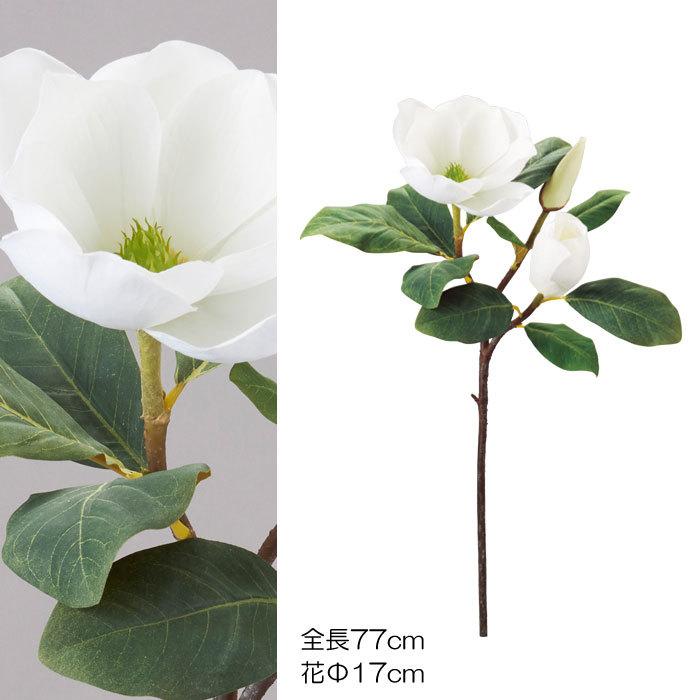 マグノリア　6本セット(VI60.20)