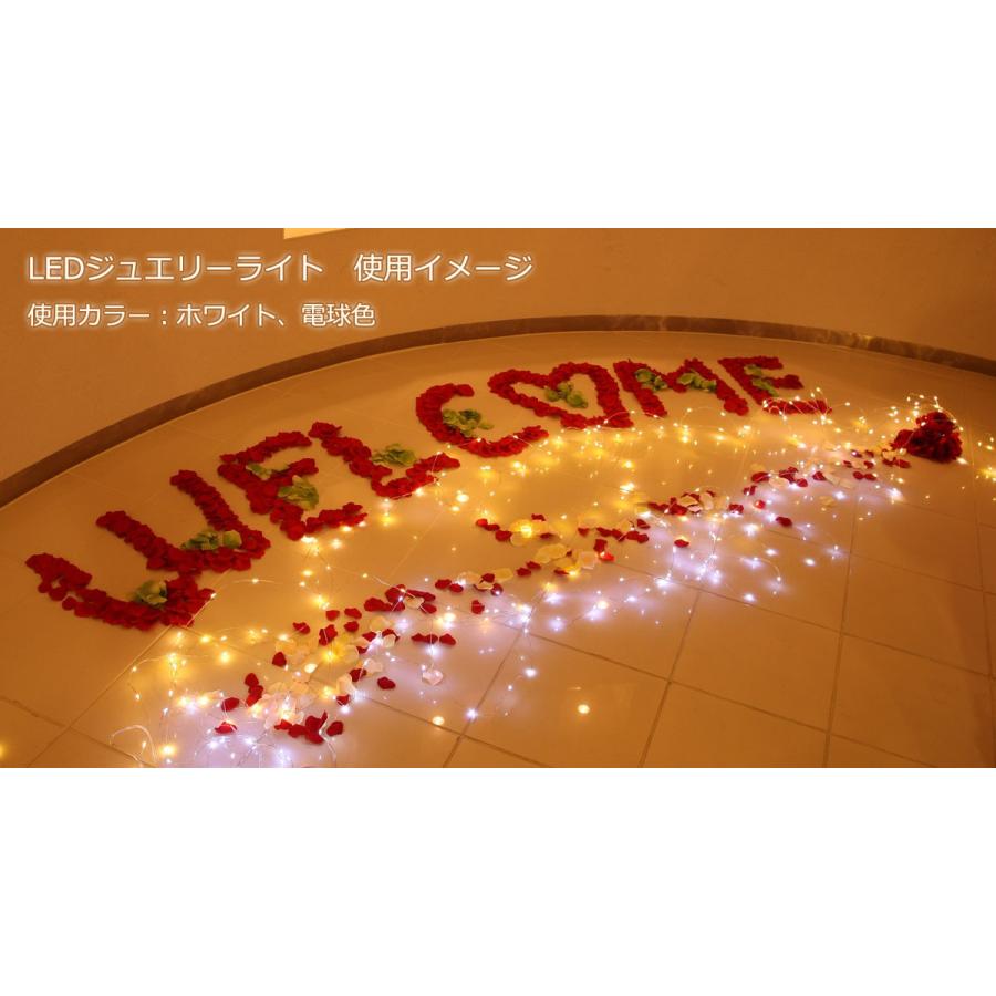 イルミネーション LEDライト)室内用LEDジュエリーライト100球　白・ピンク色球　無点滅(CL21P9) |  | 03