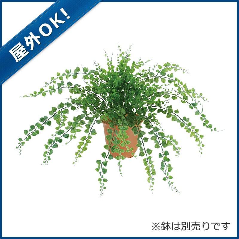 造花 フェイクグリーン 人工観葉植物 屋外ok アジアンタムブッシュｘ15 プラスチック Gl95 Leb 8079 造花ディスプレイ ドットコム 通販 Yahoo ショッピング