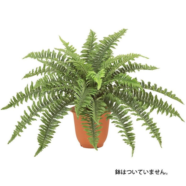 70 Off 造花 フェイクグリーン 人工観葉植物 ハワイアンボストンファンブッシュ L Gl12 Aynaelda Com