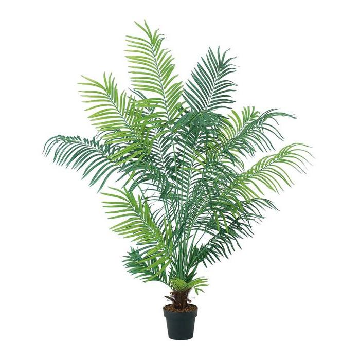 夏 トロピカルヤシの木 造花 人工樹木 人工観葉植物 210cmアレカパームツリー 21 778 Df40 45 Letr7613 造花 ディスプレイ ドットコム 通販 Yahoo ショッピング
