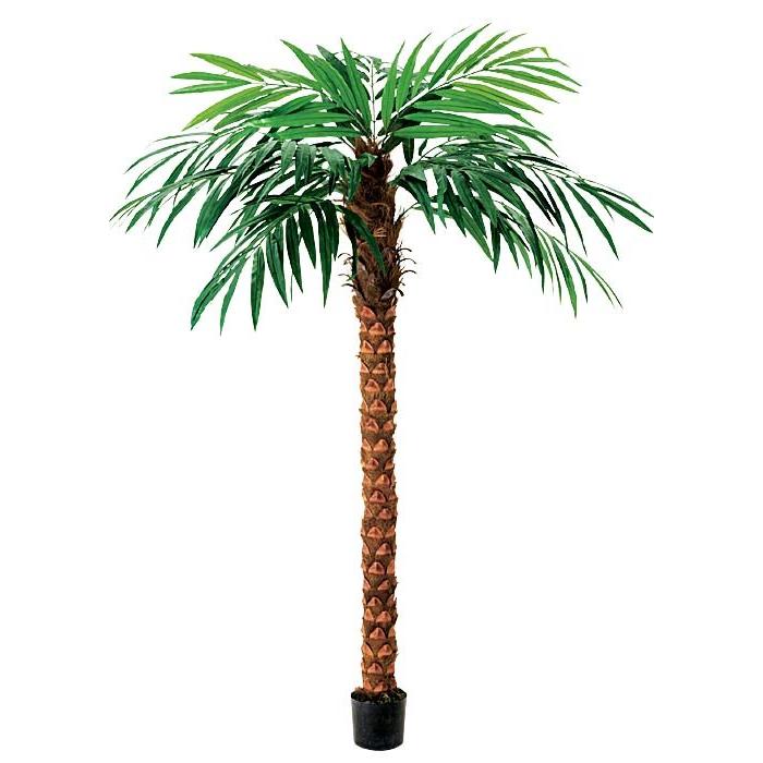 夏 トロピカルヤシの木 造花 人工樹木 人工観葉植物 270cmココナッツツリー Df40 46 Letr7650 造花ディスプレイ ドットコム 通販 Yahoo ショッピング