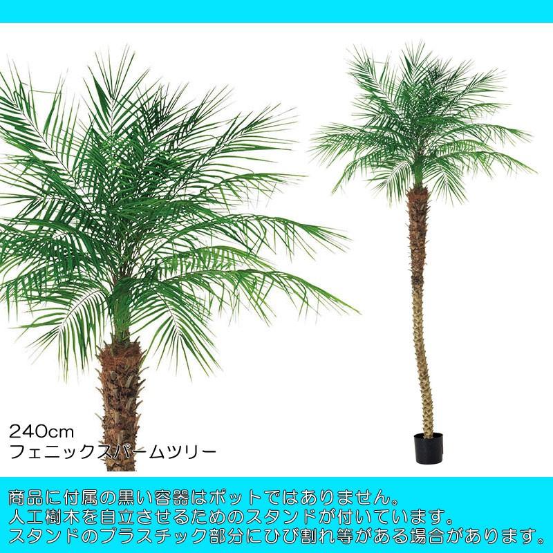人工観葉植物 ディスプレイ 240cmフェニックスパームツリー Df40 46 Letr7651 造花ディスプレイ ドットコム 通販 Yahoo ショッピング