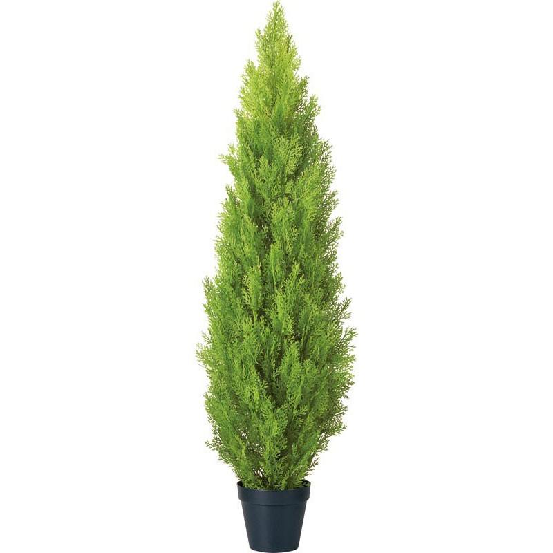 屋外用 人工観葉植物 人工樹木 フェイクグリーン コニファー 大型 150cmゴールドクレストツリーdf40 40 Letr7684 造花ディスプレイ ドットコム 通販 Yahoo ショッピング