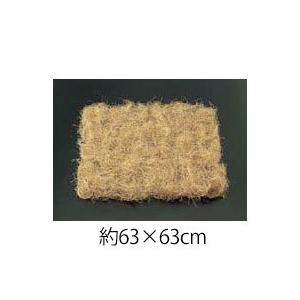 造花 人工観葉植物 アレンジ資材) コココイル(100ｇ/パック) ナチュラル(GL155) |  | 01