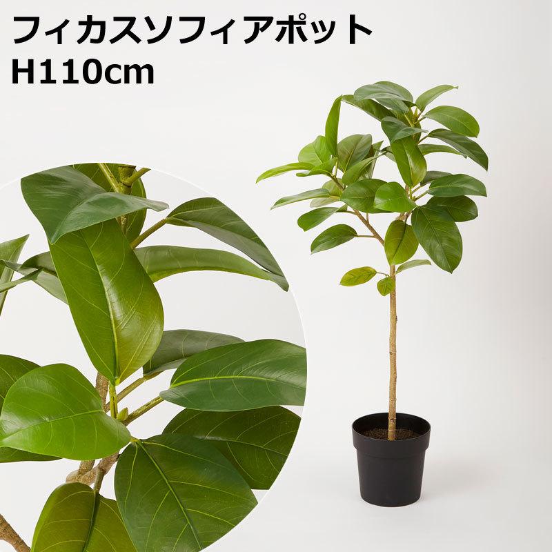 H110cmフィカスソフィアポット 人工観葉フェイクグリーン鉢付 Vi56 130 P47 024 1 造花ディスプレイ ドットコム 通販 Yahoo ショッピング