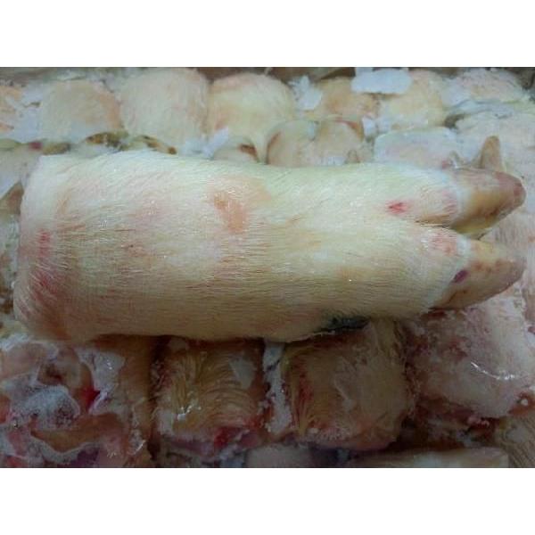 芝浦市場直送 豚足 毛付き 業務用１０ｋｇ入り ２２本 冷凍 期間限定特別価格